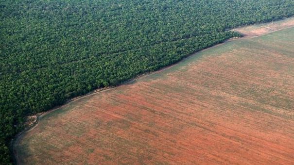 Desmatamento na Amazônia — Foto: Paulo Whitaker/Reuters